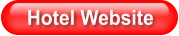 Hotel Website